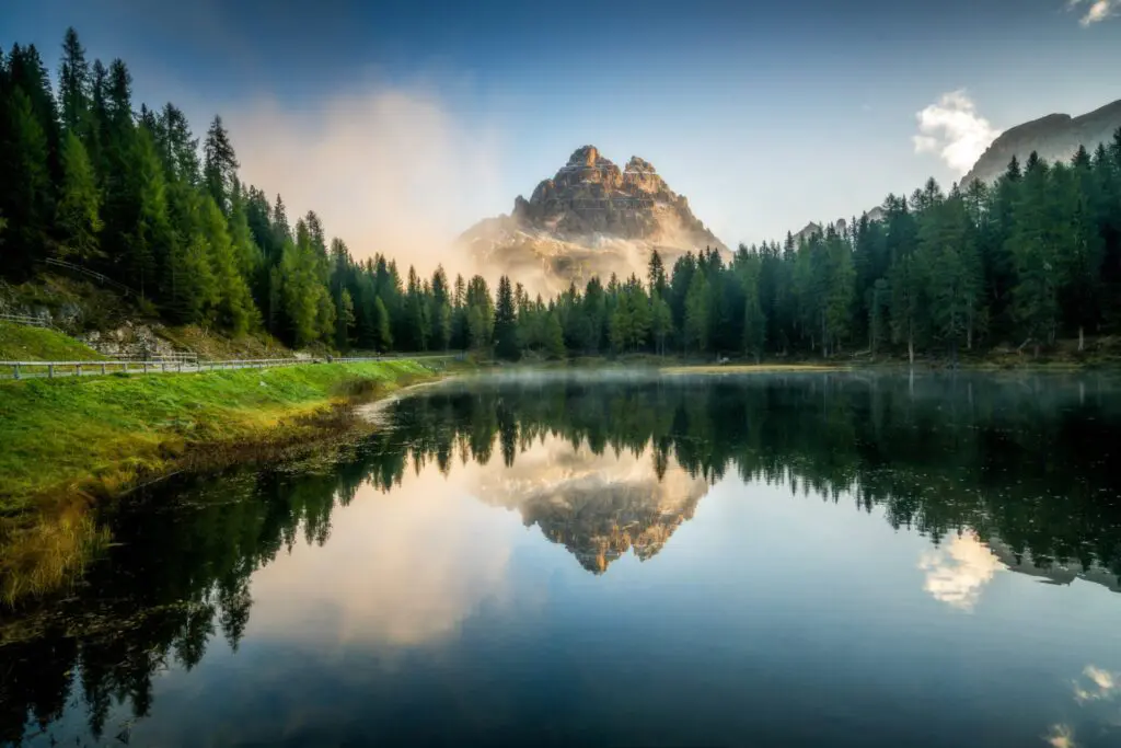 2x Neopren-Hüllen Für 625 Ml Wasserflaschen – Isoliert, Mit Schultergurt, In Blume & Schwarz
