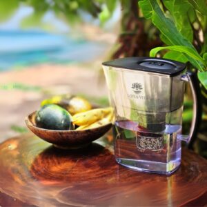 Filterkanne LOTUS 1,6L am Meer